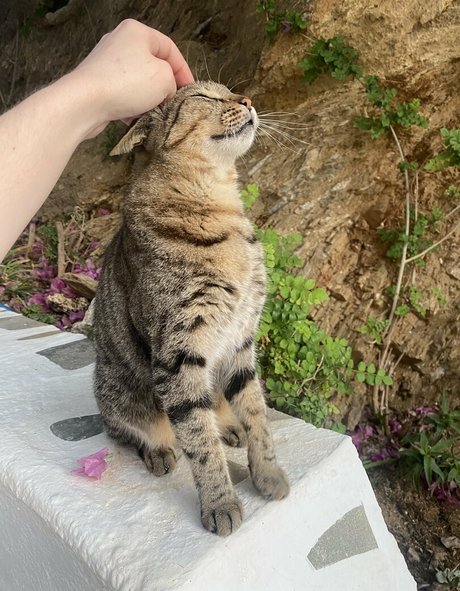 fans noirs enceintes uniquement art de haute qualité images