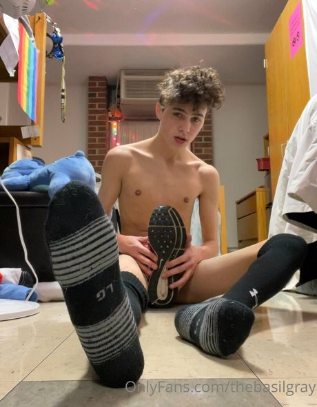 basilgray étoile chaude img