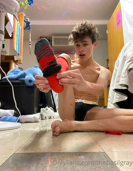 basilgray modèle chaud galerie