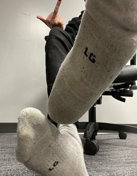 basilgray modèle joli archive