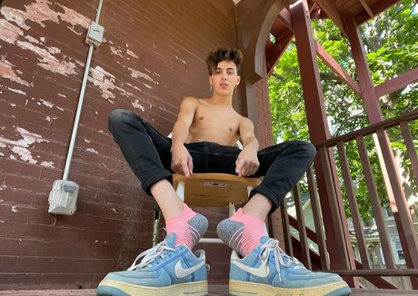 basilgray modèle exclusif collection