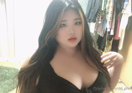 dd phin étoile photos