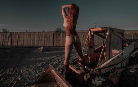 chaton potelé uniquementfans adulte en haute qualité des photos