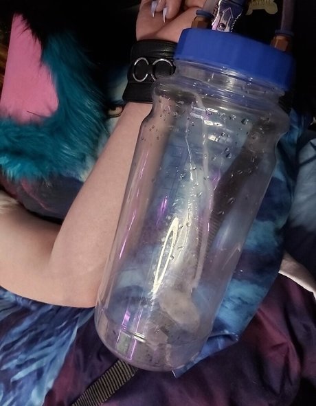 lexipuppy sexe star galerie