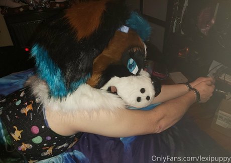 lexipuppy star du porno belle img
