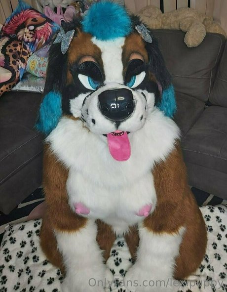 lexipuppy haut de star du porno archive