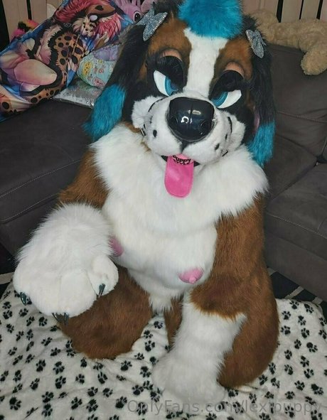 lexipuppy art étoile collection