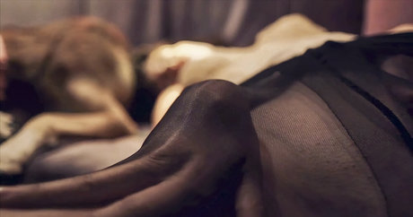 gangbang uniquement pour les fans meilleur xxx image