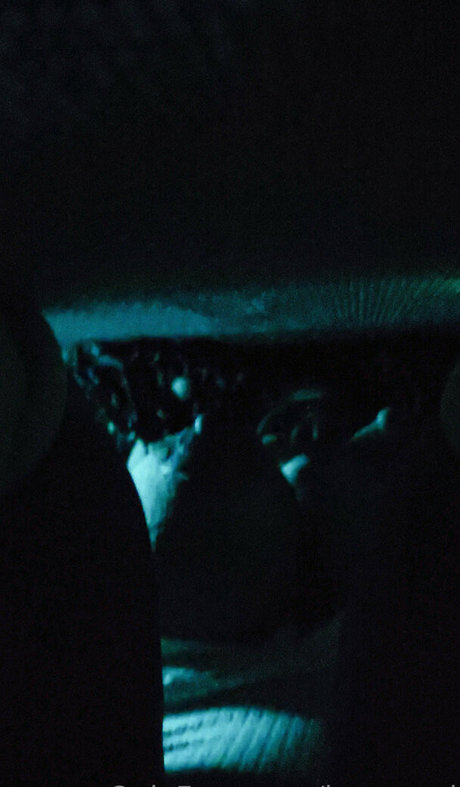 issa reed xxx étoile archive