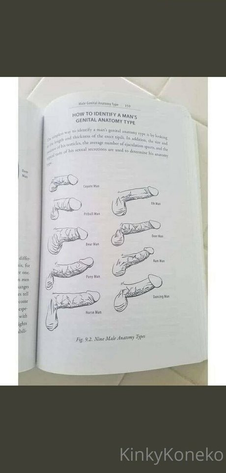 kinkykoneko69 jolie étoile images