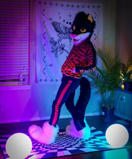 bbw lesbiennes uniquementfans hd xxx archive