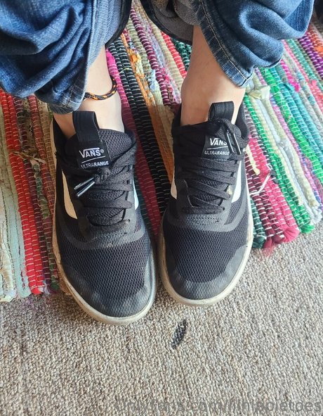 gros plan chatte onlyfans exclusif sympa galeries