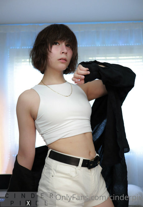 cinderpixelfree modèle de haute qualité collection