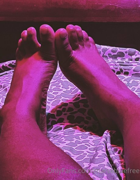 marsxbluefree art star du porno collection