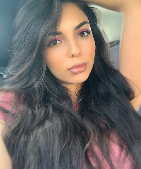 fans gays potelés uniquement bien chaud collection