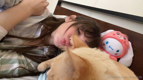 Lanax420 nus étoiles img