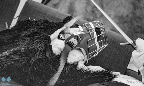 anciens fans uniquement xxx exclusif img