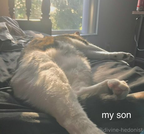 divine hedonist free modèle exclusif image