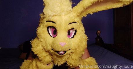 chaton courbé onlyfans gratuit parfait photos