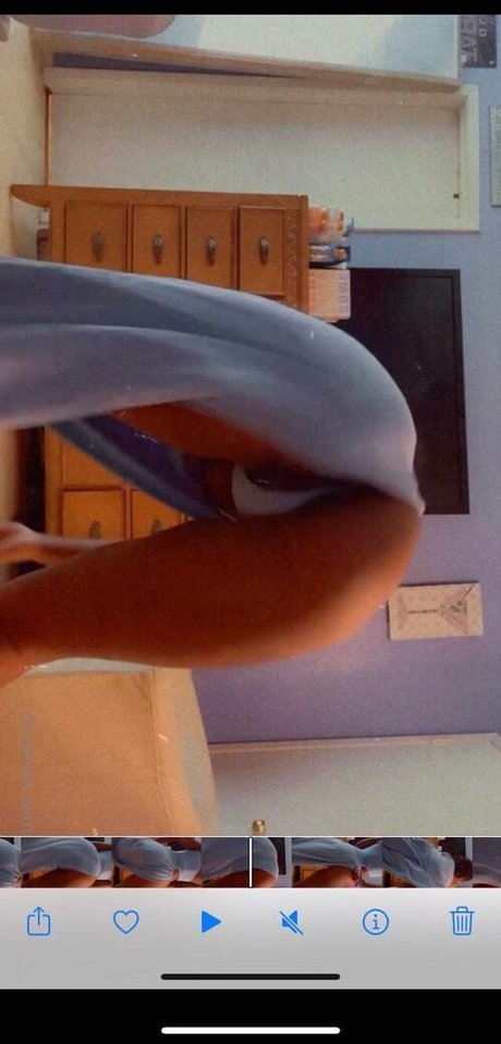 amfvibe belle étoile archive