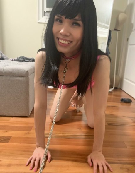 chaton mouillé onlyfans exclusif gratuit galerie