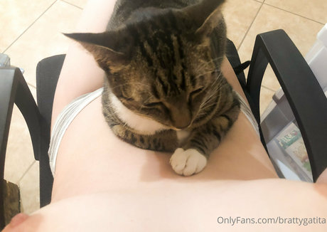 brattygatita actrice pornographique image