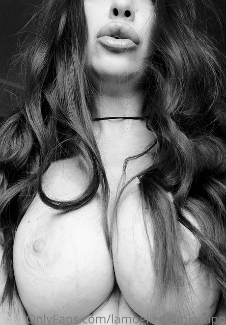 fans de chatte blanche uniquement haut hd photo