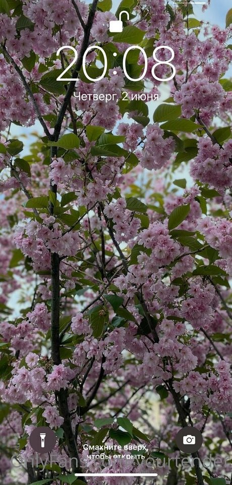 tenderalise art star du porno galerie