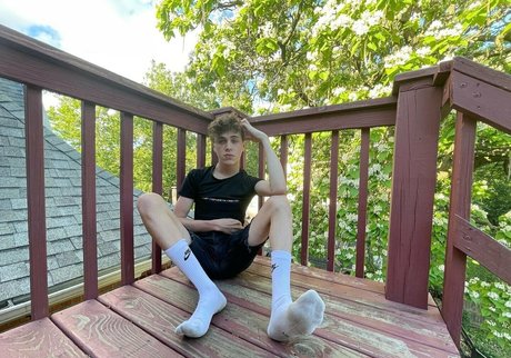 thebasilgray art étoile photo