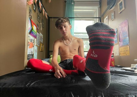 thebasilgray haut de star du porno image