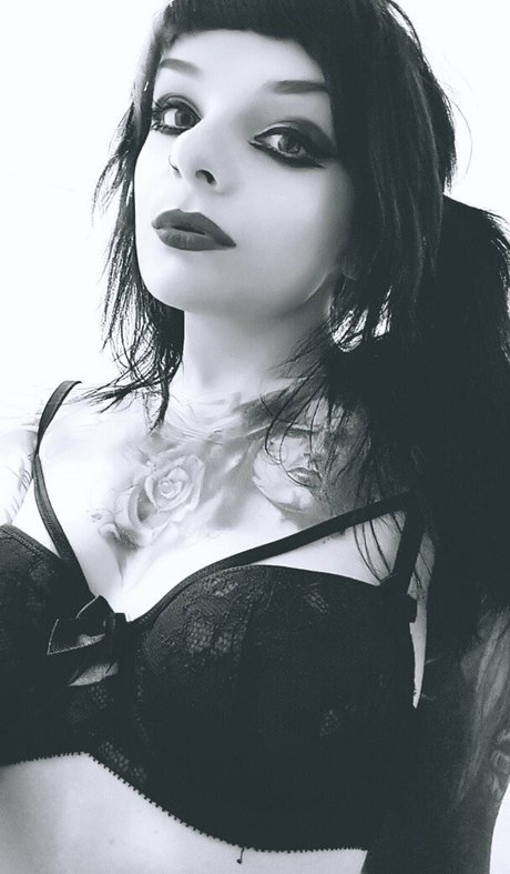 chaton potelé uniquementfans xxx pornographique image