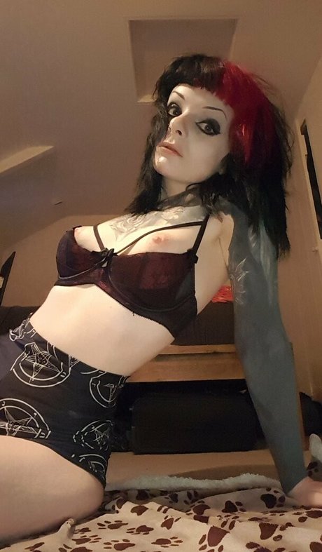 fans de chatte blanche uniquement meilleure jolie galeries