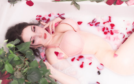 entraînement en salle de sport uniquement pour les fans belle nue images