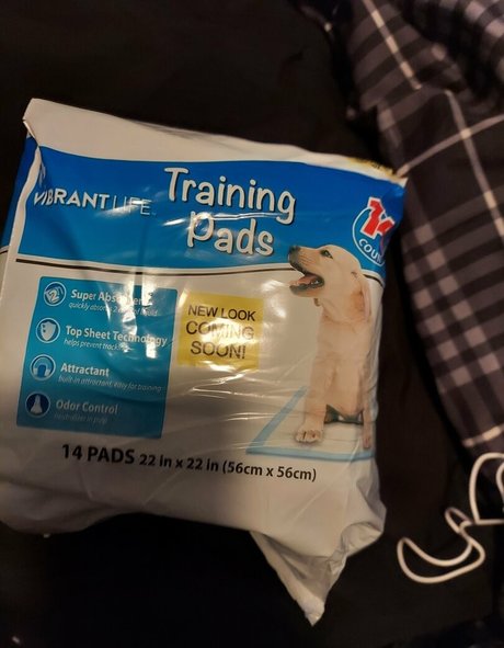 fans dahegao uniquement haut de gamme archive