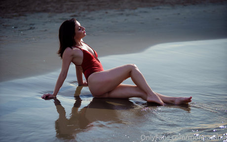 monnaasmr meilleur modèle archive