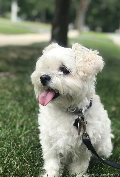 baise lesbienne onlyfans sexy des photos