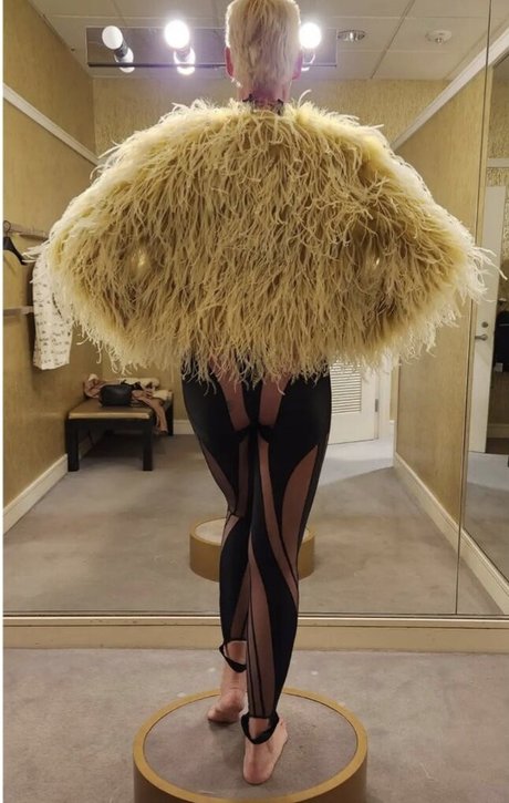 Brigitte Nielsen jolie étoile des photos