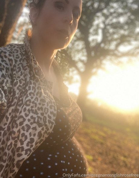 Pregnant English Rose art de star du porno images