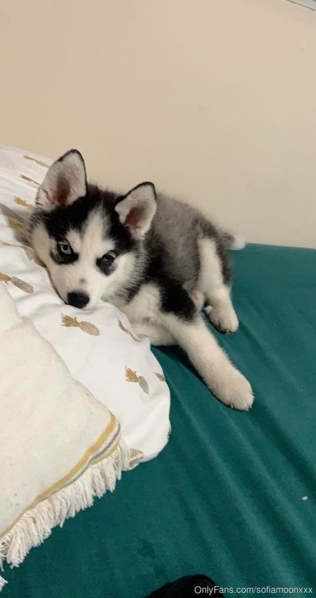 sofiamoonxxx étoile sympa collection