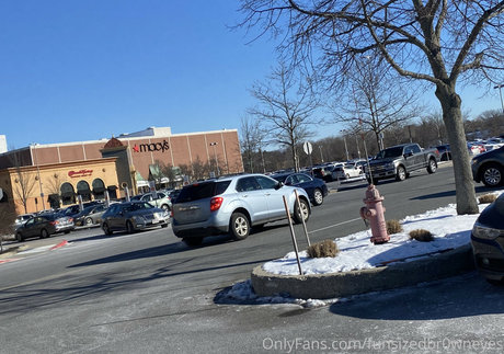 snaccs1zed modèle artistique collection