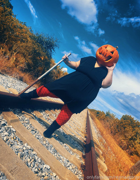 chaton potelé uniquementfans belle qualité galerie