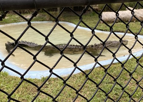 fans vérifiés uniquement pornographique de haute qualité photo