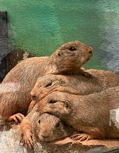 visage onlyfans exclusif parfait des photos