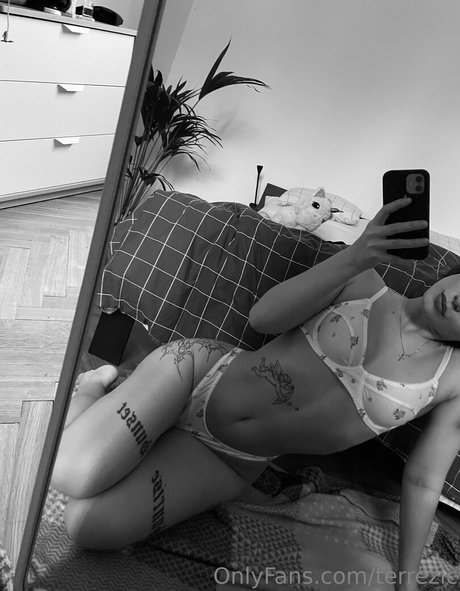 terrezic modèle sympa galeries