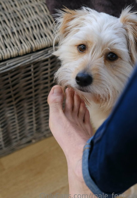 femmes au foyer uniquementfans xxx chaud galeries