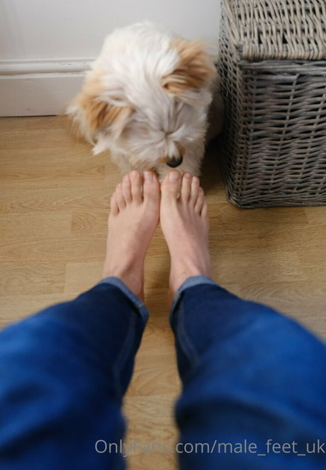 male feet uk actrice adulte collection