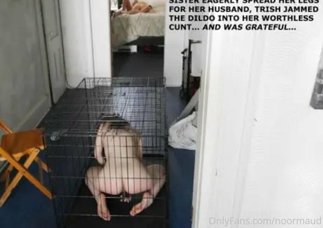 noormaud modèle parfait collection