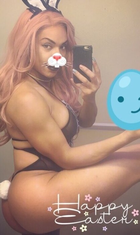 sashastrokes étoile gratuite archive