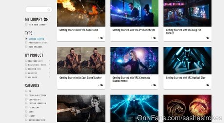 sashastrokes étoile de l'art galerie