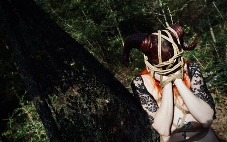 minx mx étoile de l'art collection